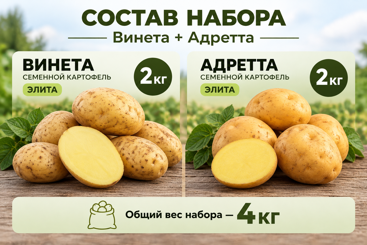 Состав набора семенного картофеля Винета и Адретта — по 2 кг каждого сорта категории элита, общий вес 4 кг