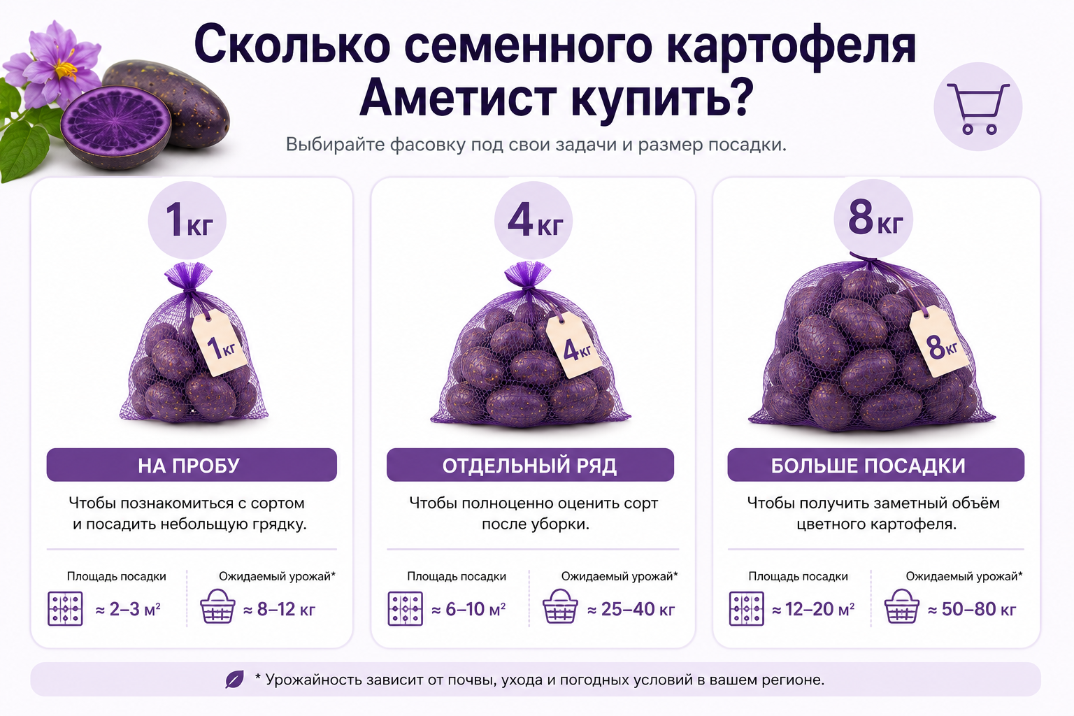 Какую фасовку картофеля Аметист выбрать 1 кг 4 кг или 8 кг