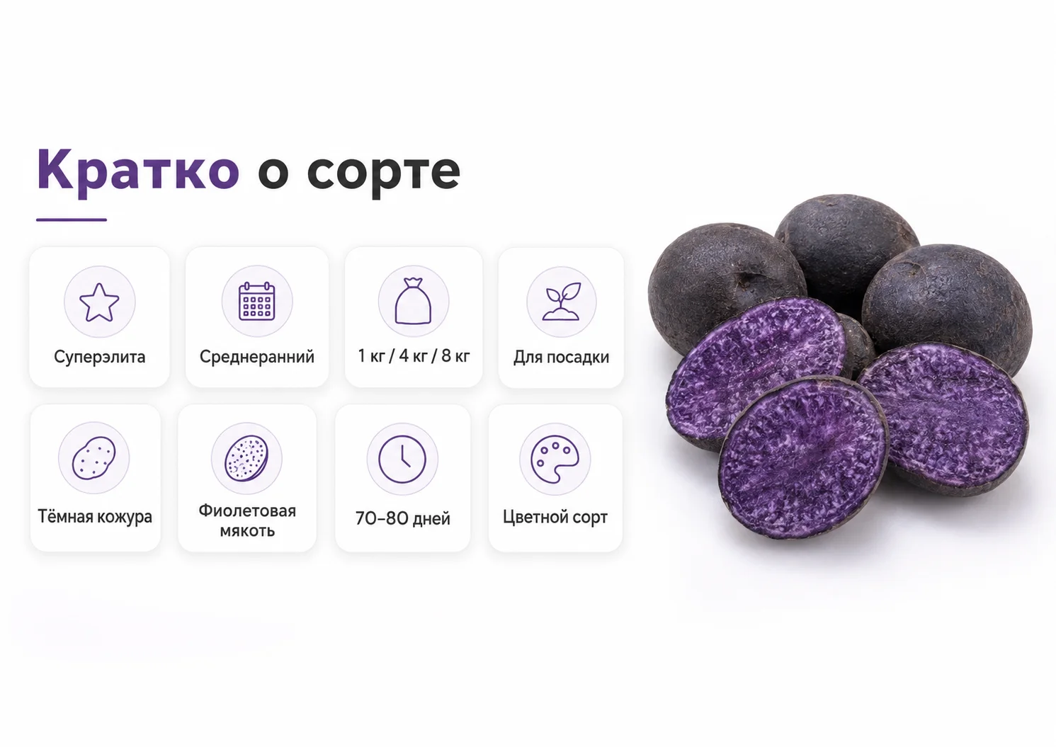 Кратко о сорте картофеля Гурман с фиолетовой мякотью
