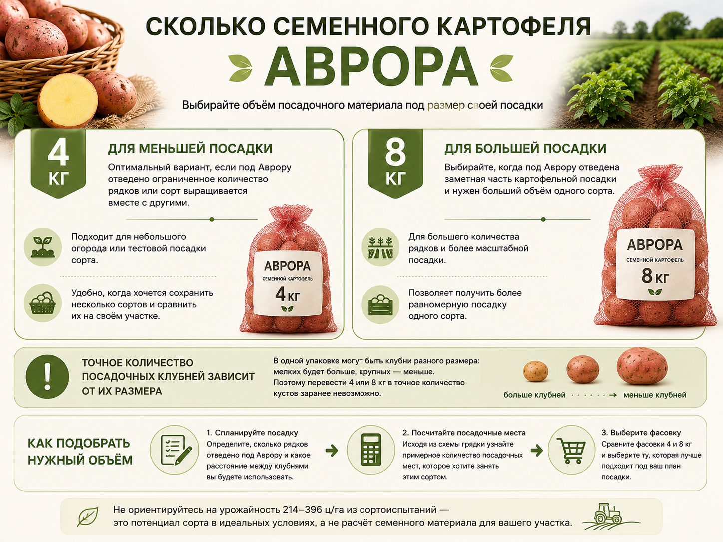 Какую фасовку картофеля Аврора выбрать 4 кг или 8 кг