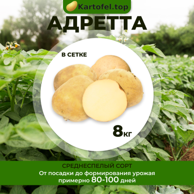Адретта (элита) 8 кг