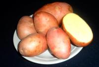 Луговской (суперэлита)