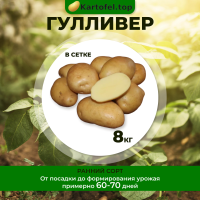 Гулливер (суперэлита) 8 кг