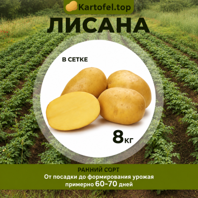 картофель Лисана - фасовка 8 кг
