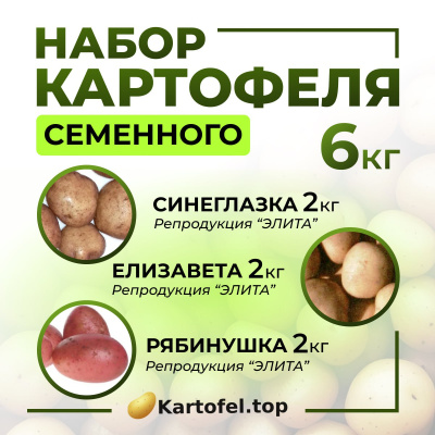 Синеглазка, Елизавета, Рябинушка