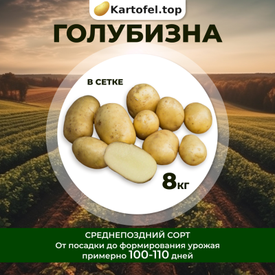 Голубизна (элита) 8кг