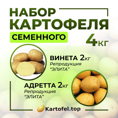 Винета 2кг, Адретта 2кг