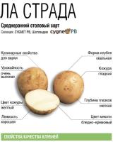Ла Страда (элита)