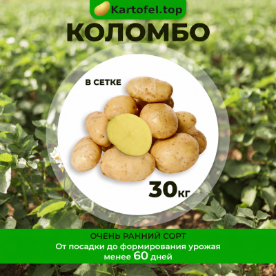 картофель Коломбо - фасовка 30 кг