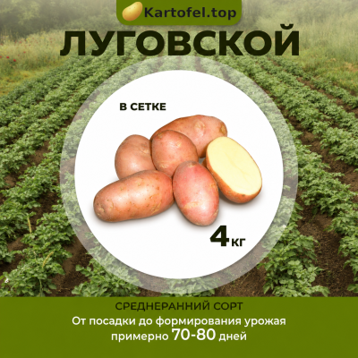 картофель Луговской - фасовка 4 кг