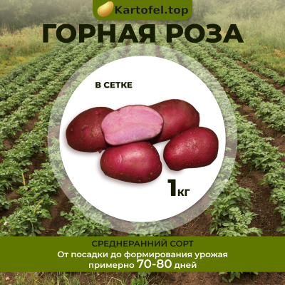 Горная роза (суперэлита) 1 кг