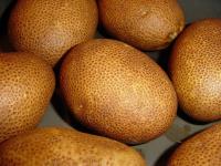 Киви (элита)