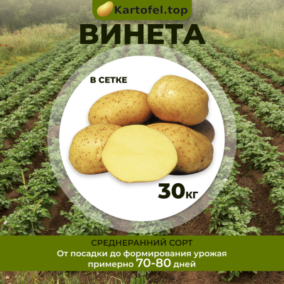 Винета (элита) 30 кг