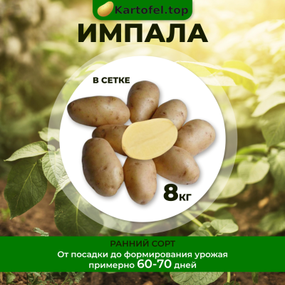Импала (суперэлита) 8кг