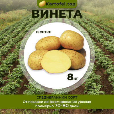 Винета (элита) 8кг