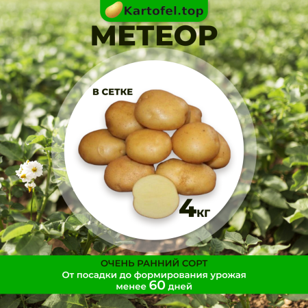 Метеор (элита) 4кг