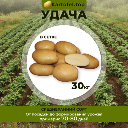 Удача  (суперэлита) 30 кг