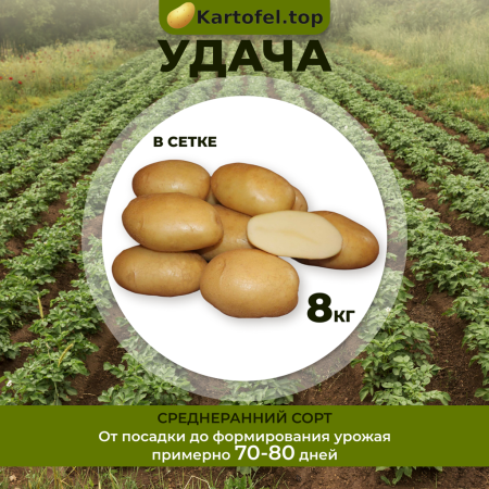Удача  (суперэлита) 8 кг