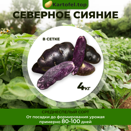 Северное сияние 4кг