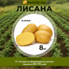 картофель Лисана - фасовка 8 кг