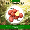 Беллароза (элита) 8кг