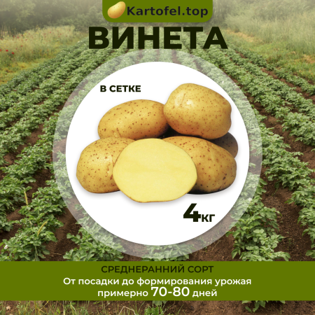 Винета (элита) 4кг