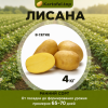 картофель Лисана - фасовка 4 кг