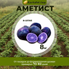 картофель Аметист - фасовка 8 кг