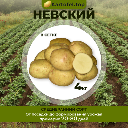 Невский (элита) 4кг