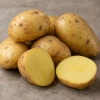 Гала (элита)
