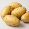 Гала (элита)