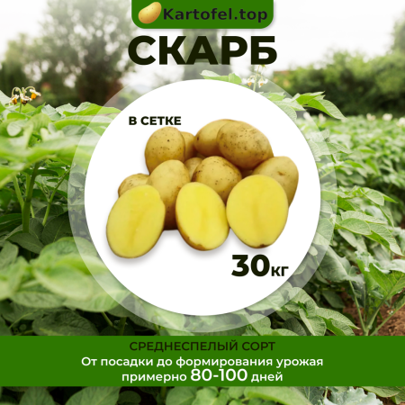 Скарб (элита) 30 кг